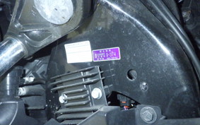 YAMAHA X-MAX 250 2024 SG70J