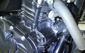 SUZUKI V-STROM 250 A 1992