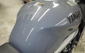 YAMAHA XSR900 GP 2024 RN96J