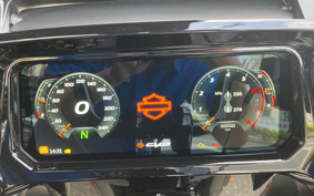 HARLEY  HARLEY FLTRXSTSE CVO 2024 TL8