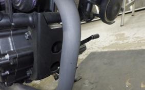 HONDA REBEL 250 2021 MC49