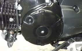 HONDA ｸﾞﾛﾑ 2019 JC75