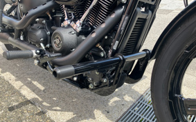 HARLEY FXBBS 2022 YYK