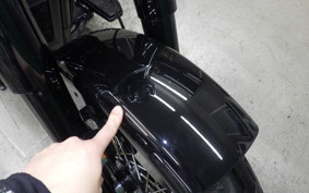 HARLEY FLSL 1750 2020