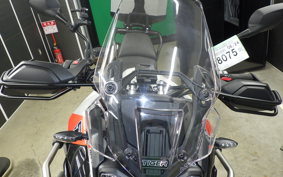 TRIUMPH TIGER 900 RALLY PRO 2024