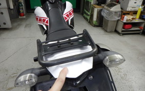 YAMAHA WR250X 2013 DG15J