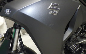 SUZUKI Vｽﾄﾛｰﾑ250A 2022