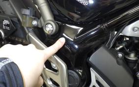 TRIUMPH SPEED 400 2024