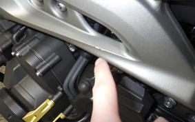 YAMAHA MT-09 A 2014 RN34J