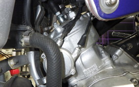 YAMAHA DT200 Gen.2 WR 2024 3XP