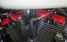 OTHER +HD. FLTRXSTSE1980CVO 2024