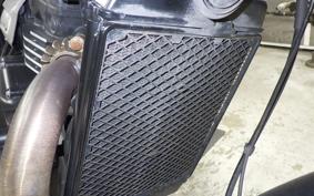 TRIUMPH SCRAMBLER 400X 2024