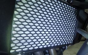 HONDA CB750 HORNET 2025 RH24
