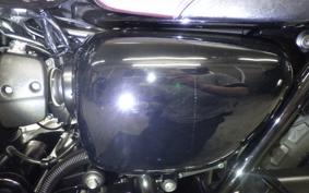 KAWASAKI W800 CAFE 2021 EJ800B