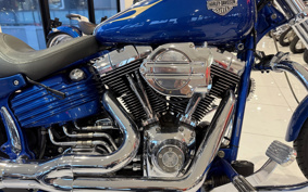 HARLEY FXCWC 2008 JK5