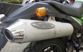 KAWASAKI SUPER SHERPA 2020 KL250G