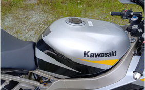 KAWASAKI ZX900R NINJA 2002 00F002