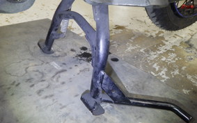 HONDA CT125 HUNTER CUB 2025