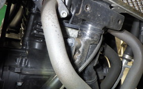 SUZUKI GSX250RA 2022