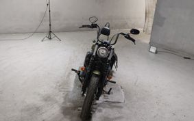 HARLEY FXBB1750 2019 YJJ