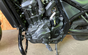 HONDA CT125 HUNTER CUB JA65