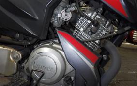 YAMAHA YX125 2022