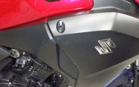 SUZUKI V-STROM 250