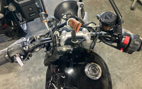 TRIUMPH STREET TWIN 2020 DAD74G