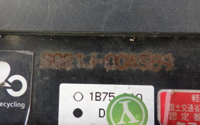 YAMAHA MAXAM 250 SG21J