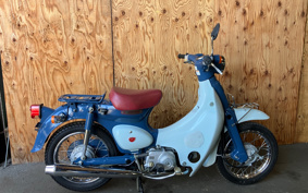 HONDA LITTLE CUB 50TH ANNIVERSARY SPL C50