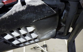 HONDA FORESIGHT 2008 MF04