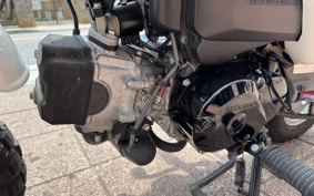 HONDA MONKEY 50TH SPL AB27