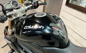 TRIUMPH SPEED TRIPLE 2013 TPN105