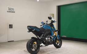 KAWASAKI Z125 PRO BR125H