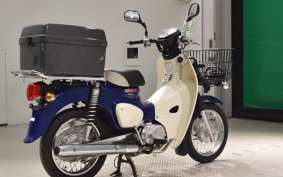 HONDA C50 SUPER CUB 2006 AA07