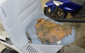 HONDA GYRO CANOPY TA02