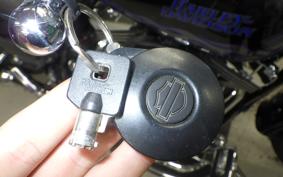OTHER +HD. FLHR1580CVO 2006