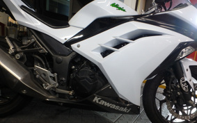 KAWASAKI NINJA 250 EX250L