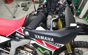 YAMAHA WR250R 2019 DG15J