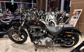 HARLEY FXBB 2025 YJ9