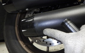 HARLEY FXLRST1920 2024