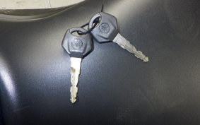 YAMAHA YZF-R3 2021 RH13J