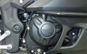 YAMAHA YZF R-3 2020 RH13J