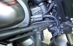 KAWASAKI VULCAN 650 SA 2024 EN650M