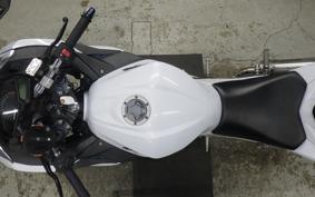 KAWASAKI NINJA 250 EX250L