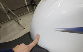 SUZUKI HAYABUSA Gen.2 2010