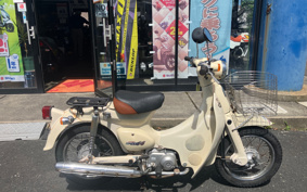 HONDA LITTLE CUB C50