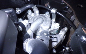 HONDA TACT-4ﾍﾞｰｼｯｸ AF79