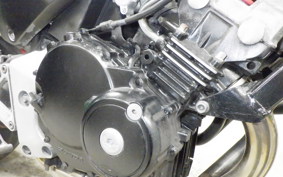 HONDA HORNET 250 MC31