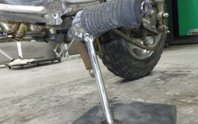 HONDA MONKEY 2023 Z50J